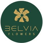 Belvia Flowers