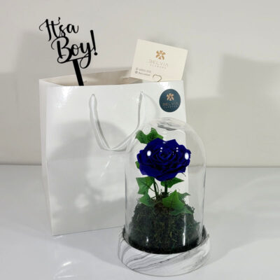 Baby boy preserved rose blue