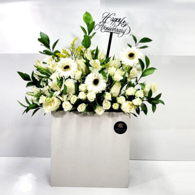 Grand Anniversary white box