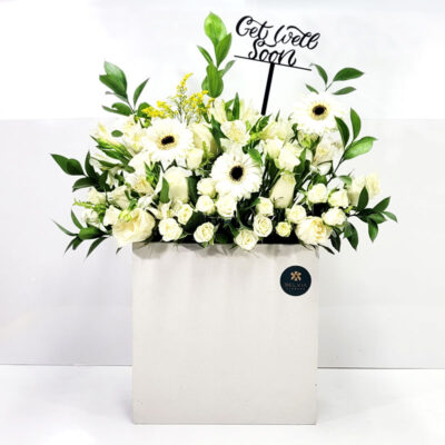 Grand Get well soon box