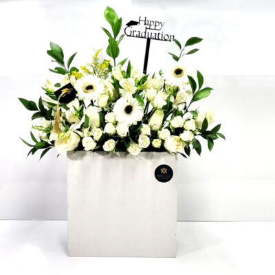 Grand graduation white box