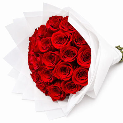 Red rose 1