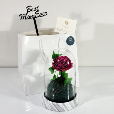 preserved rose pink for mom