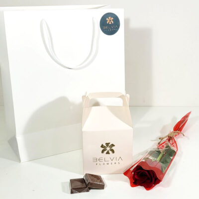 red single rose with chocolate