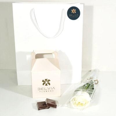 white single rose with chocolate